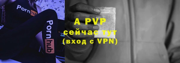 ECSTASY Остров