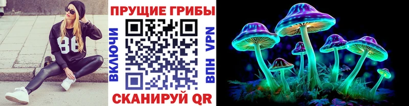 Галлюциногенные грибы MAGIC MUSHROOMS дарк нет состав Белоозёрский